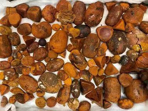 Ox Gallstone